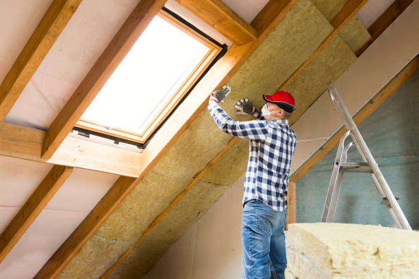 Types of Insulation We Offer in Pine Hills, CA